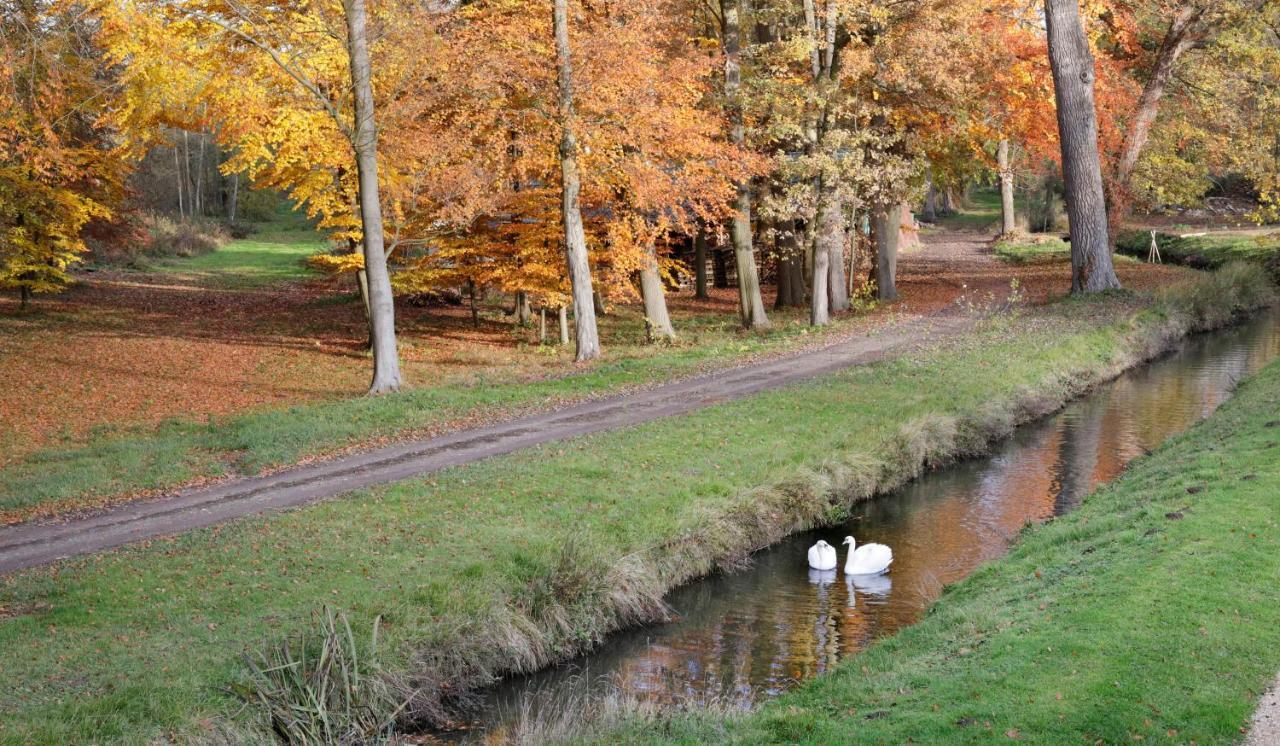 ル・プレシ・ルザルシュ Domaine Du Plessis Bed & Breakfast エクステリア 写真
